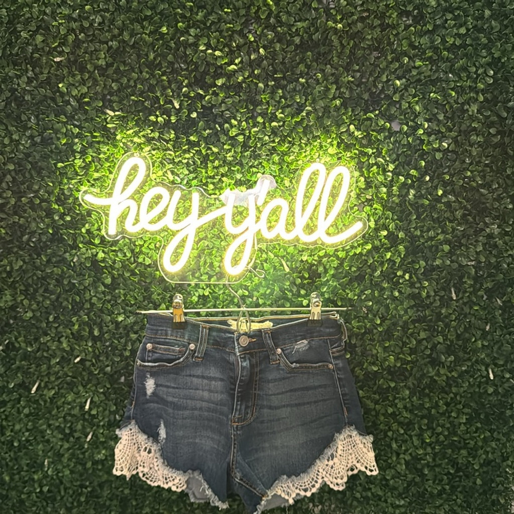 Altar’d State Jean shorts